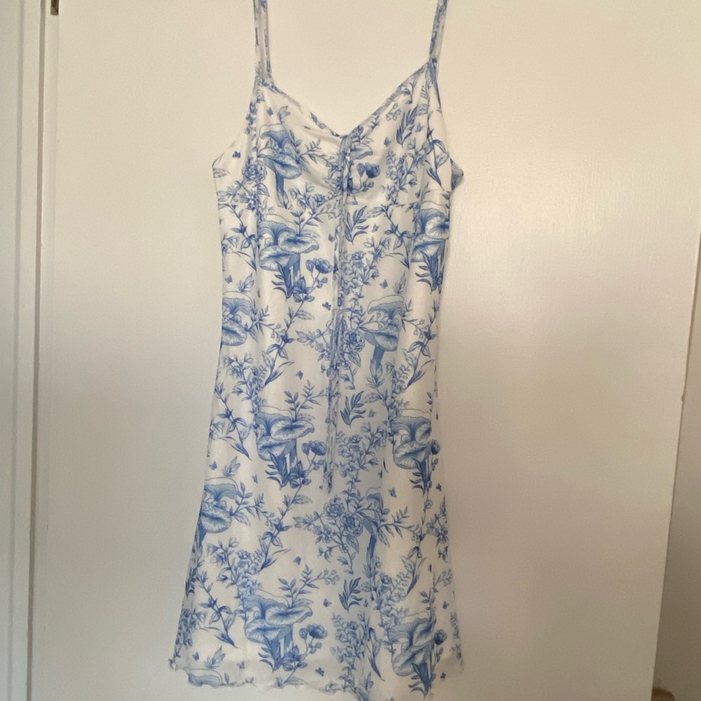 Blue and White Floral Dress
